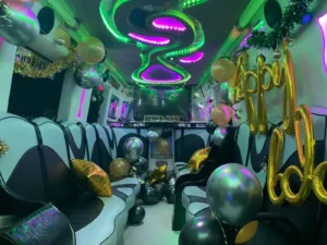 16 seater partybus