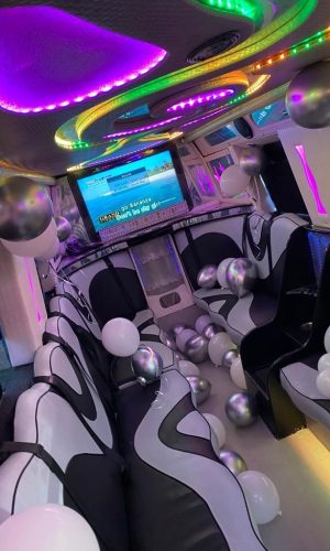Silver 16 seat party bus interior 117